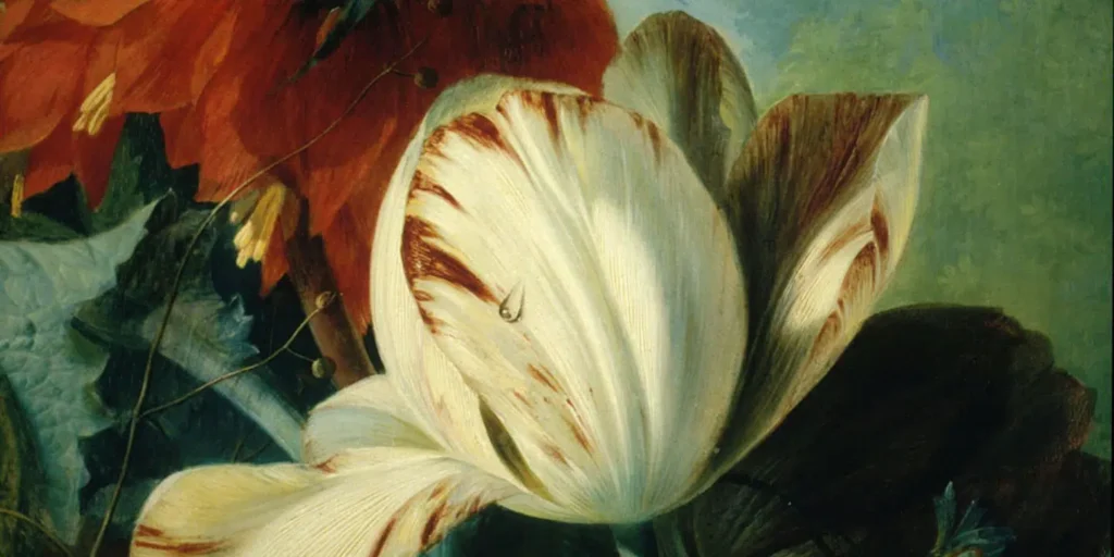 A close-up painting of a white tulip with red streaks, set against a backdrop of deep red flowers and green leaves. This artwork beautifully aligns with the History of Art, capturing delicate textures and vibrant colors in a natural, lush setting.